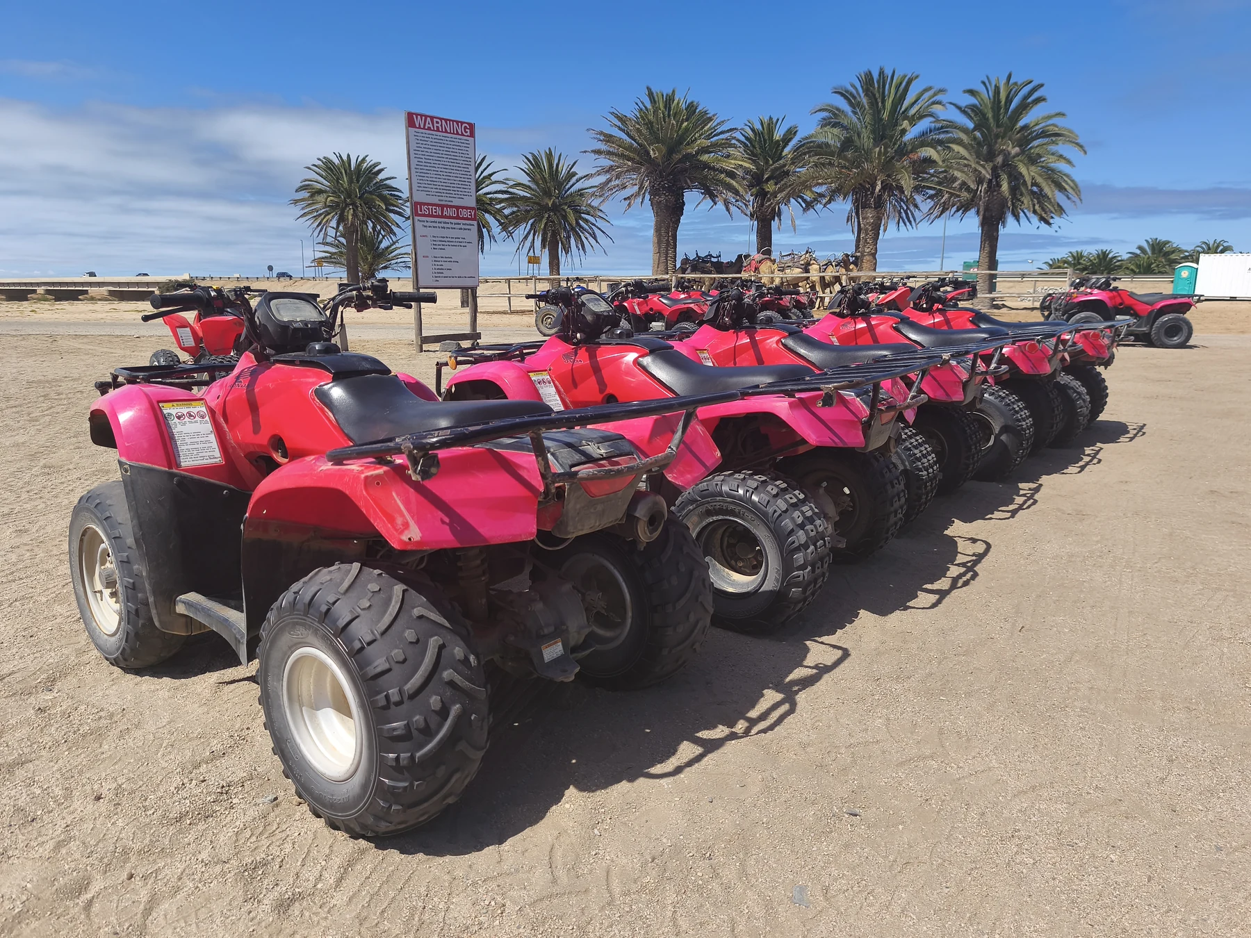 Quad bikes lined up for a Swakopmund dune adventure